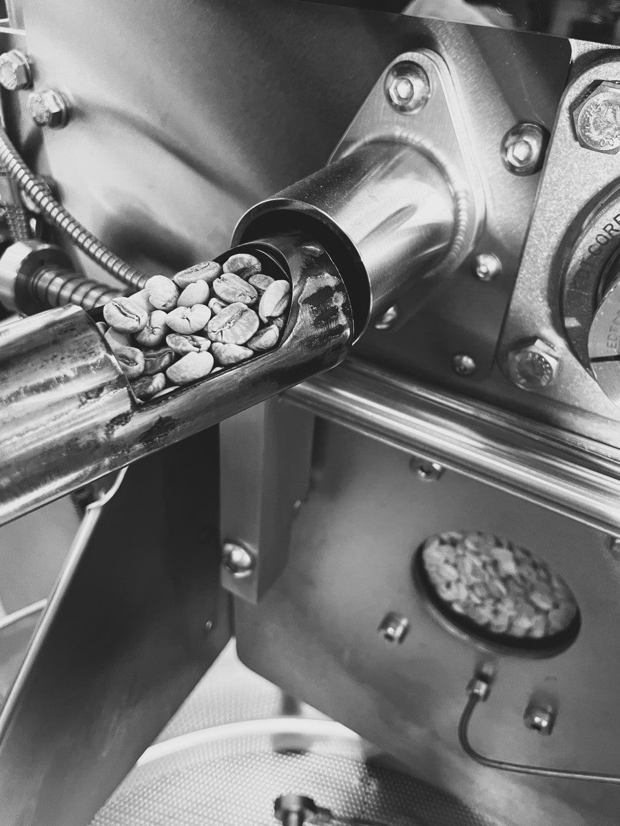 Green coffee beans in a coffee roasting machine